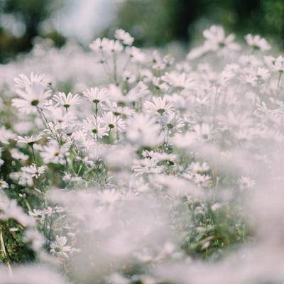 爱体育APPapp下载