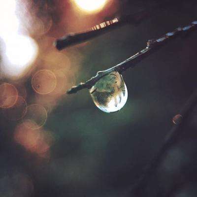 管家婆期期四肖四码中特管家手机app下载